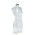 Aquarius Torso Only female, clear finish