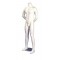 Headless mannequin Male arms behind back