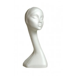 Swan neck display head