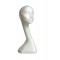 Swan neck display head