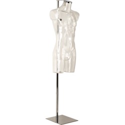Aquarius Display forms male, clear finish with Stand