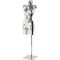Aquarius display forms female, silver finish with Stand